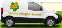 Simon Virgkertszet