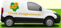 Simon Virgkertszet