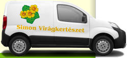 Simon Virgkertszet